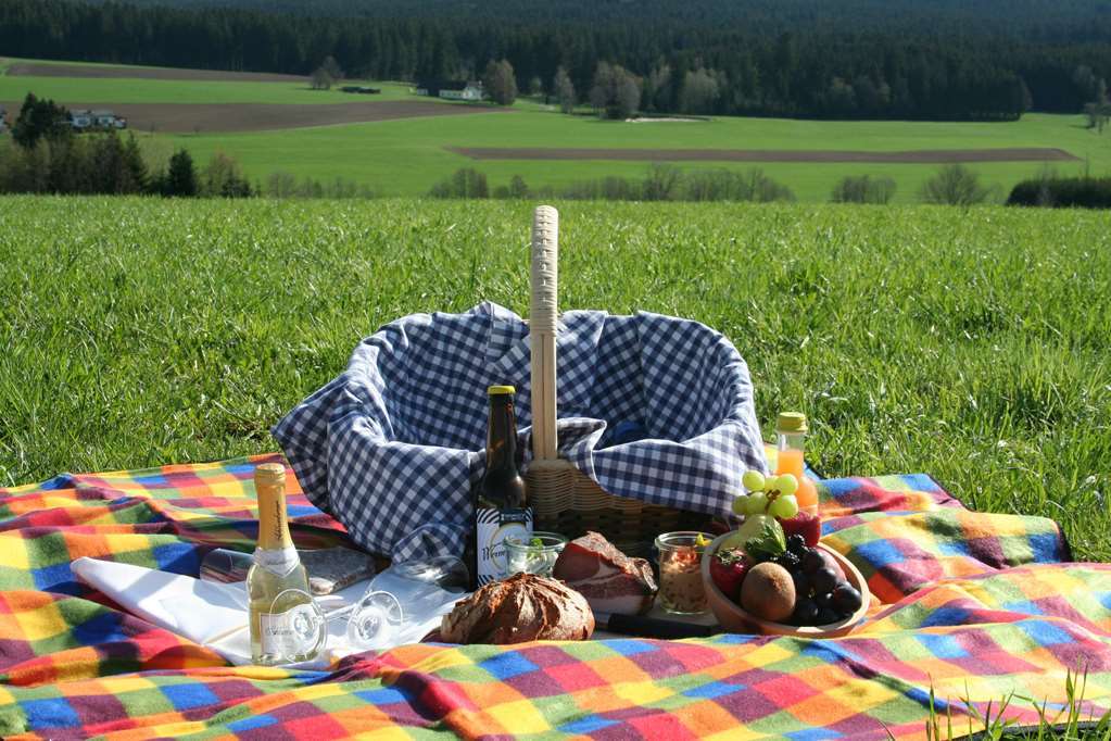 Falkensteiner Hotel Bad Leonfelden Superior (Adults Only) Amenities photo